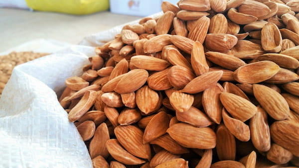 قیمت خرید بادام مامایی شور + فروش ویژه